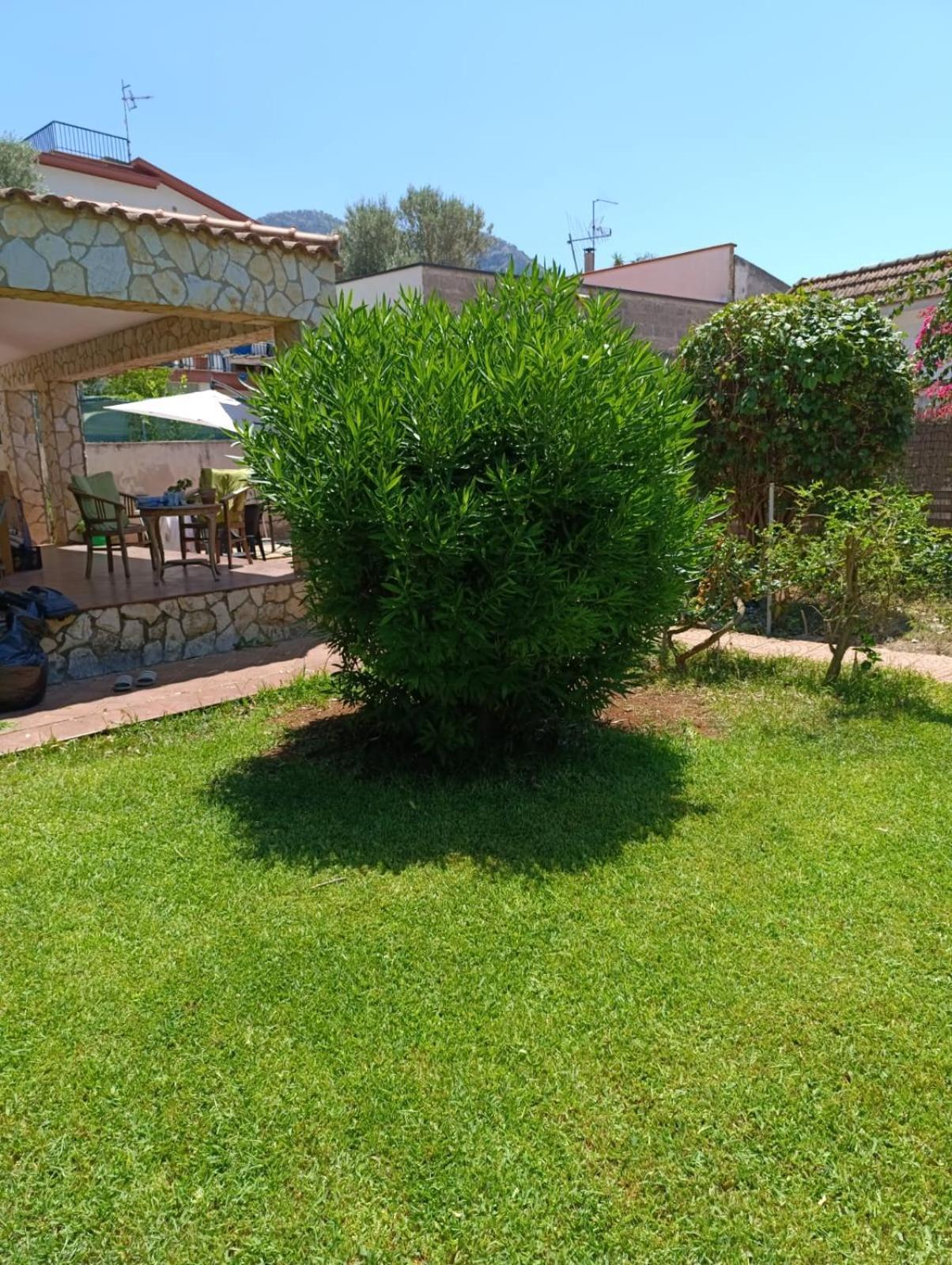 Villa Garden House Mondello Palerme Extérieur photo